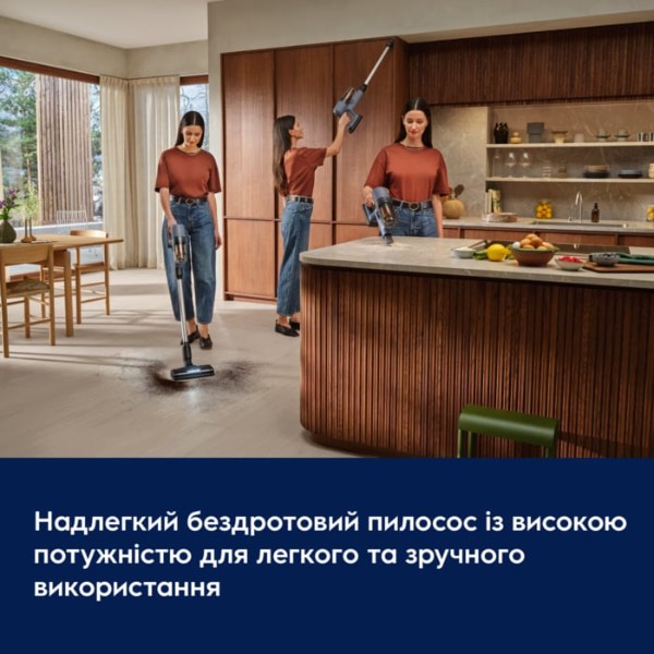 Фото - Пилосос ручний для дому Electrolux EP72H21WET